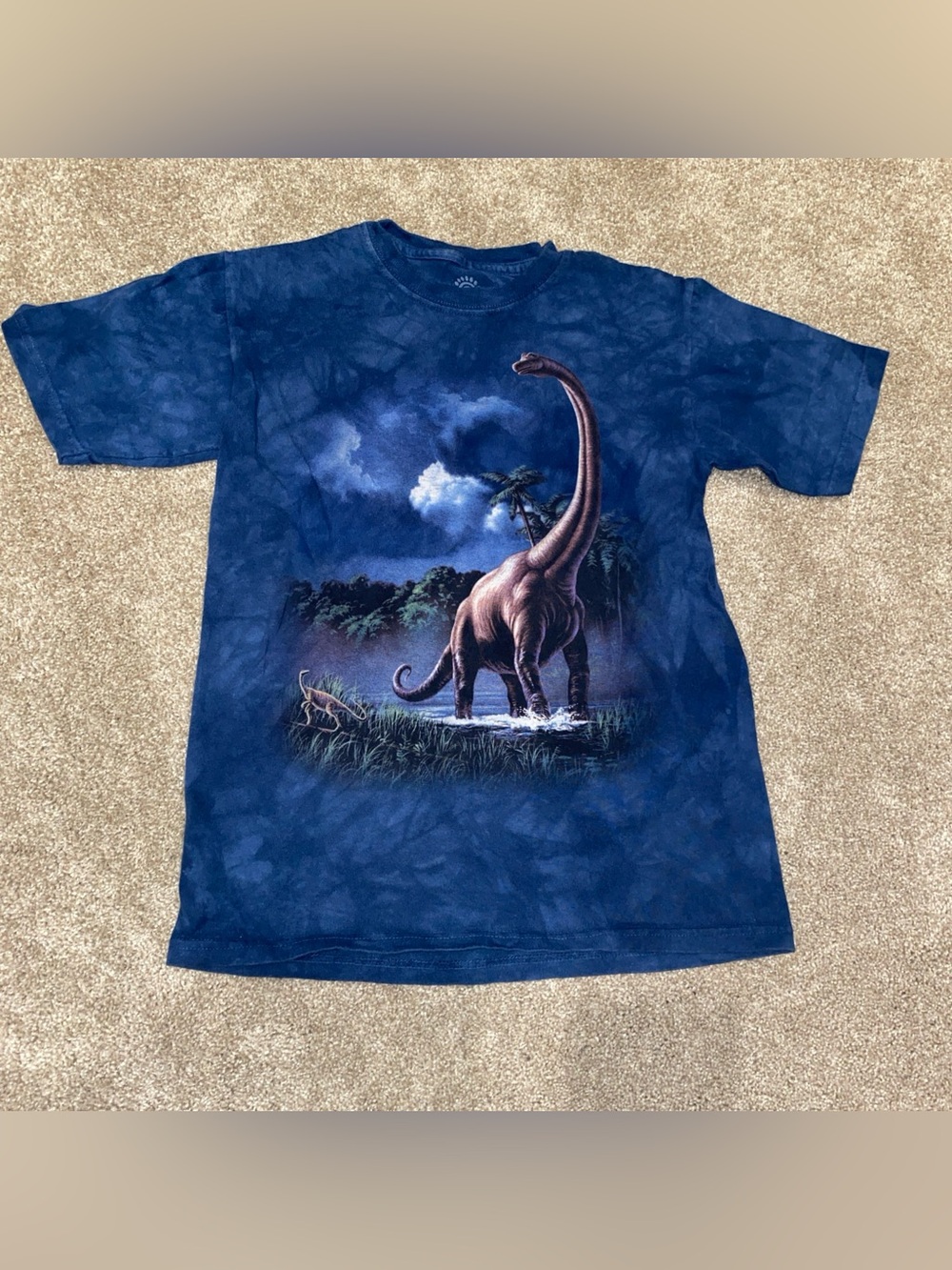 The Mountain Youth M Brachiosaurus Tie Dye T Shirt Blue